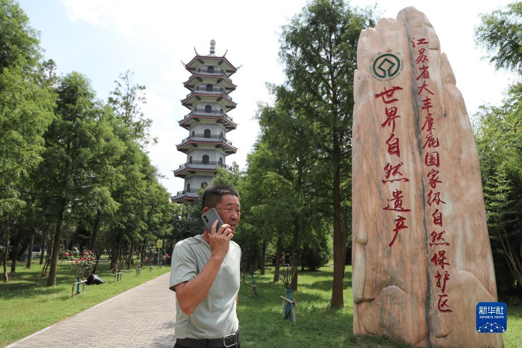 捕鱼网页下载